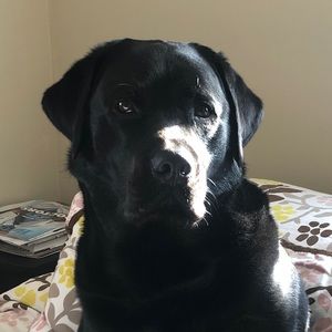 Meet your Posher, Maryann